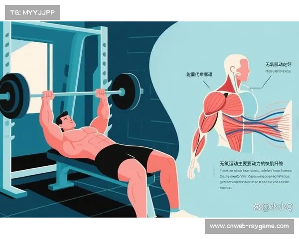 体能训练双引擎突破 爆发力与耐力并重 磷酸原系统与糖酵解系统协同发展